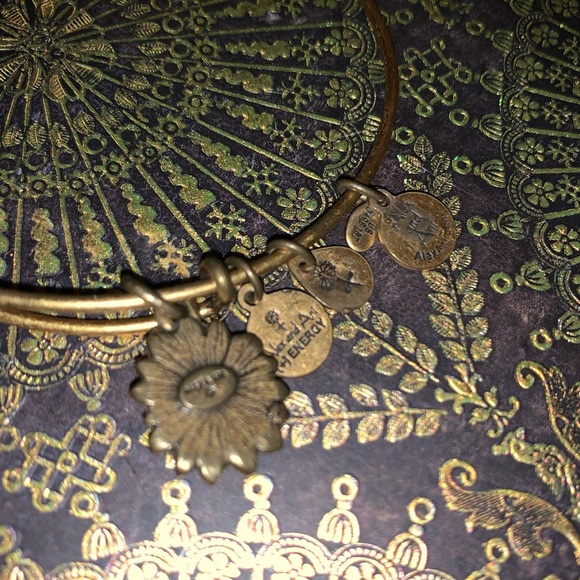 Alex + Ani Bracelet - Picture 3 of 3